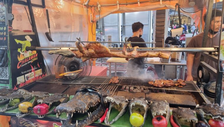 Exploring Pattaya’s Culinary Tapestry: A Street Food Adventure